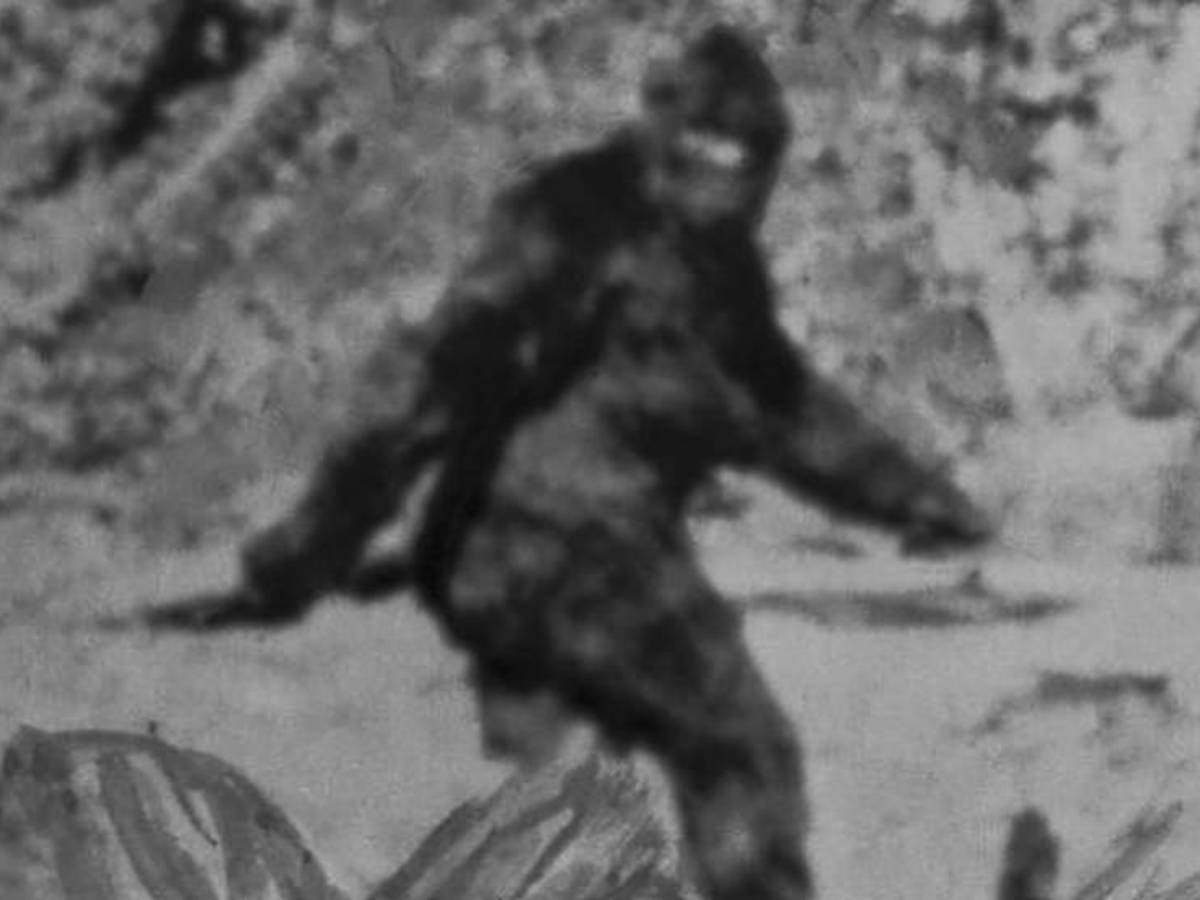 Bigfoot: ¿realidad o mito? El extraño caso que hizo que el FBI tuviera que intervenir