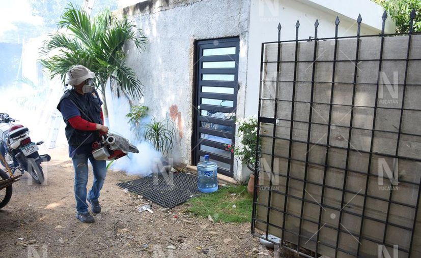 Ante la cercanía de la temporada de lluvias, preparan campaña de fumigación en Mérida