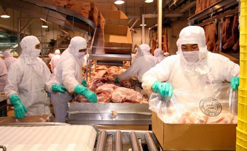 Yucatán rompe récord de exportaciones en este 2021 aún con pandemia