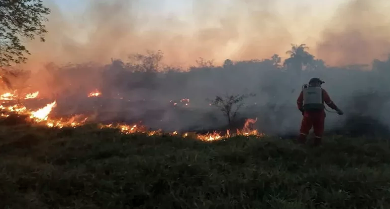 Incendios forestales destruyen 10 mil hectáreas en la Península de Yucatán