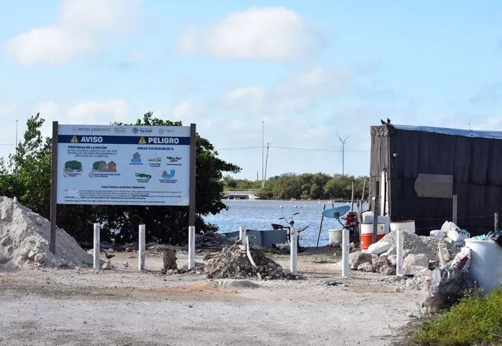 Profepa clausura predios en zonas invadidas de Chicxulub Puerto