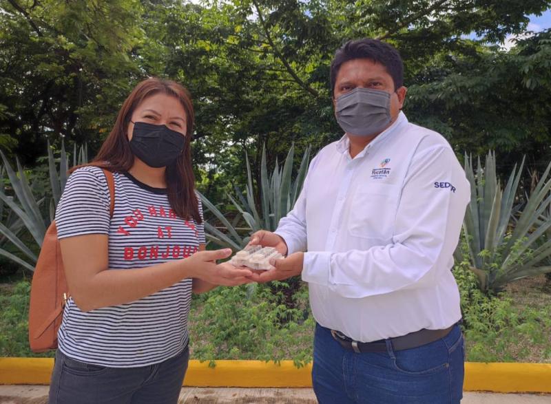 Respaldo del Gobernador Mauricio Vila a los apicultores.