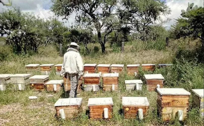 Educación superior apuesta por el campo.