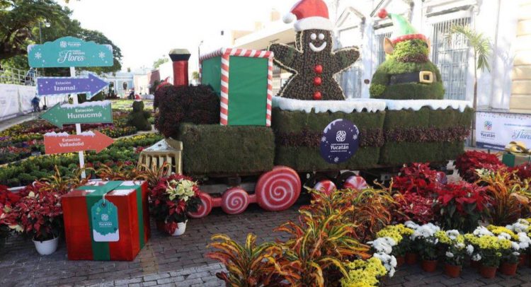 Paseo navideño de las flores ya esta disponible al Publico.